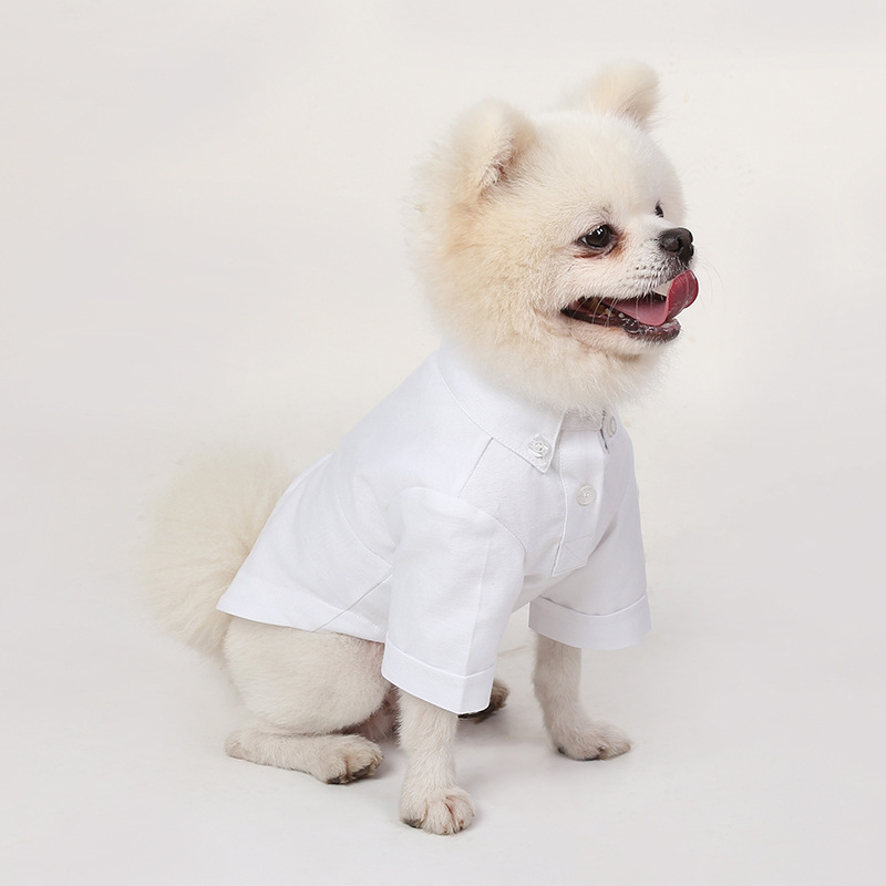 Spring and Autumn Pet Bottomin - Summer Dog Clothing 评论和价格