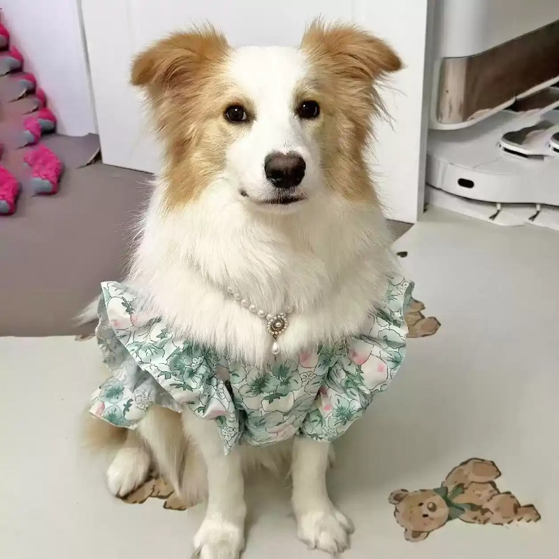 Pet Clothes Spring and Summer  - Summer Dog Clothing 评论和价格