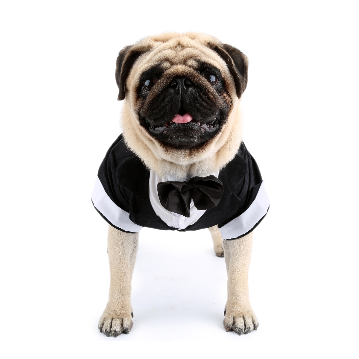 Dog Shirt Puppy Clothes, Pet W - Summer Dog Clothing 评论和价格