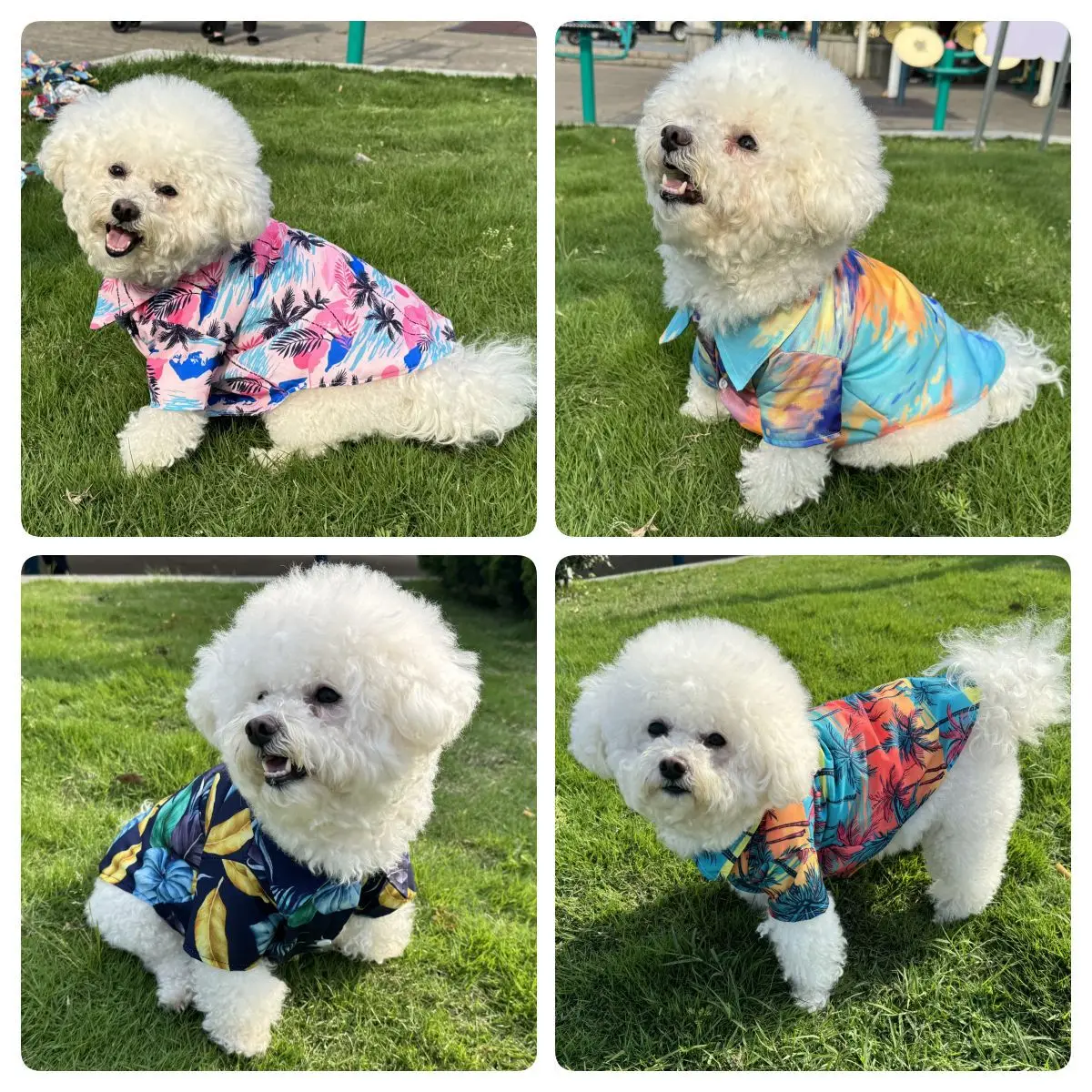Hawaiian Shirt Pet Beach Wear  - Summer Dog Clothing 评论和价格